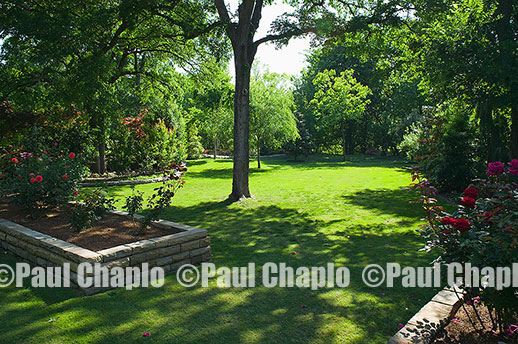 rose garden lawn landscape architecture digital photographers Dallas, TX Texas Architectural Photography garden design