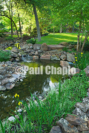 Landscape & garden photography for shelter magazine feature article